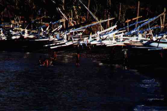 amed beach