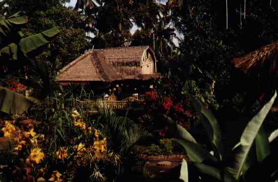 basecamp rinjani