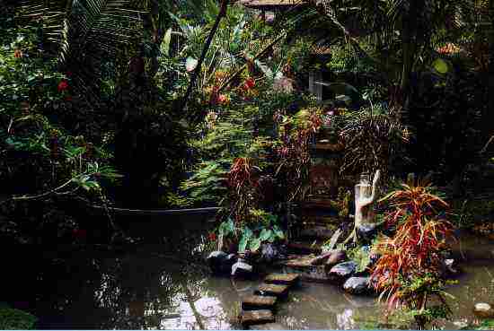 losmen gustis garden bungalows